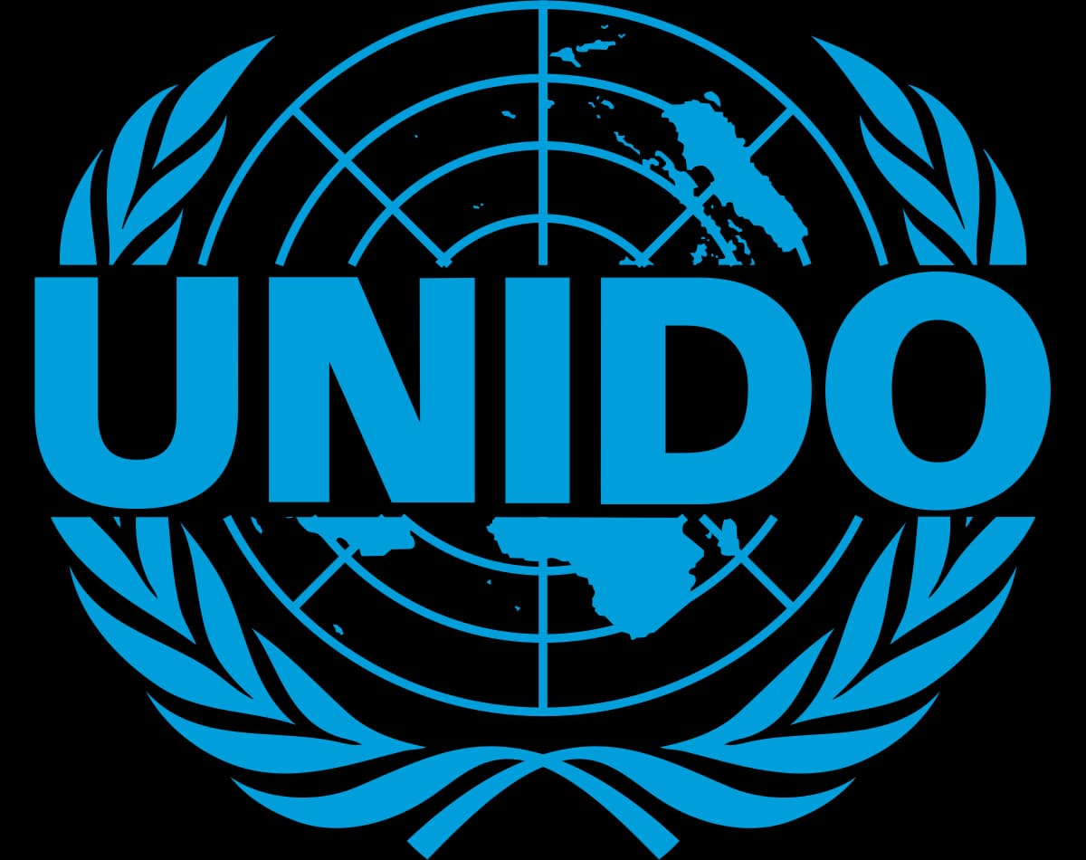 ONUDI : Mission de cadrage
