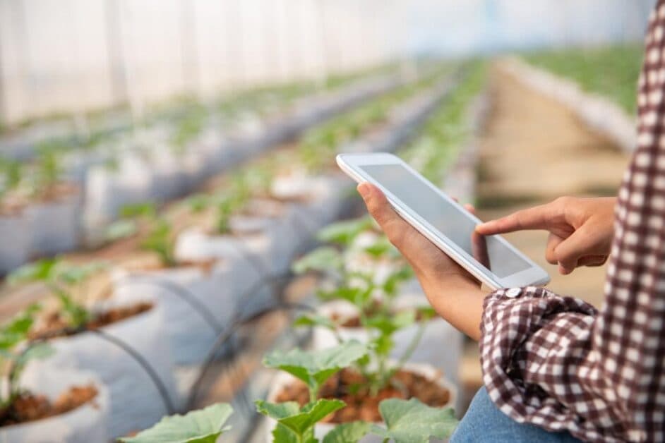 Application agricole (agritech) sur le terrain