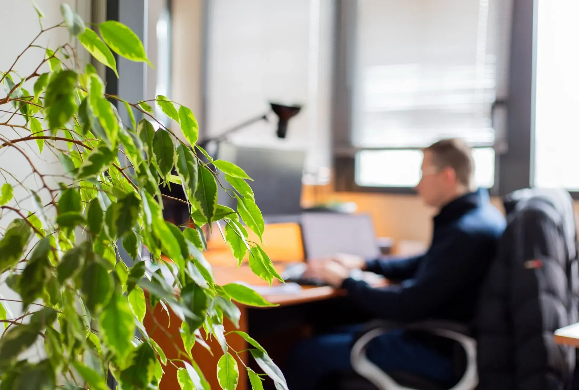 CTO à temps partagé