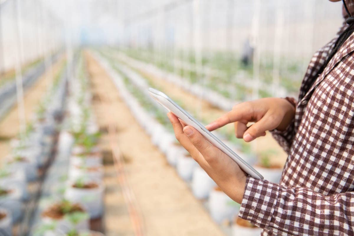 Application pour le secteur agricole : cas d’usage et solutions