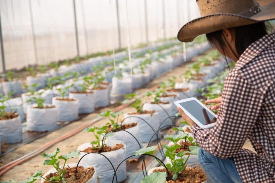 Utilisation application IoT