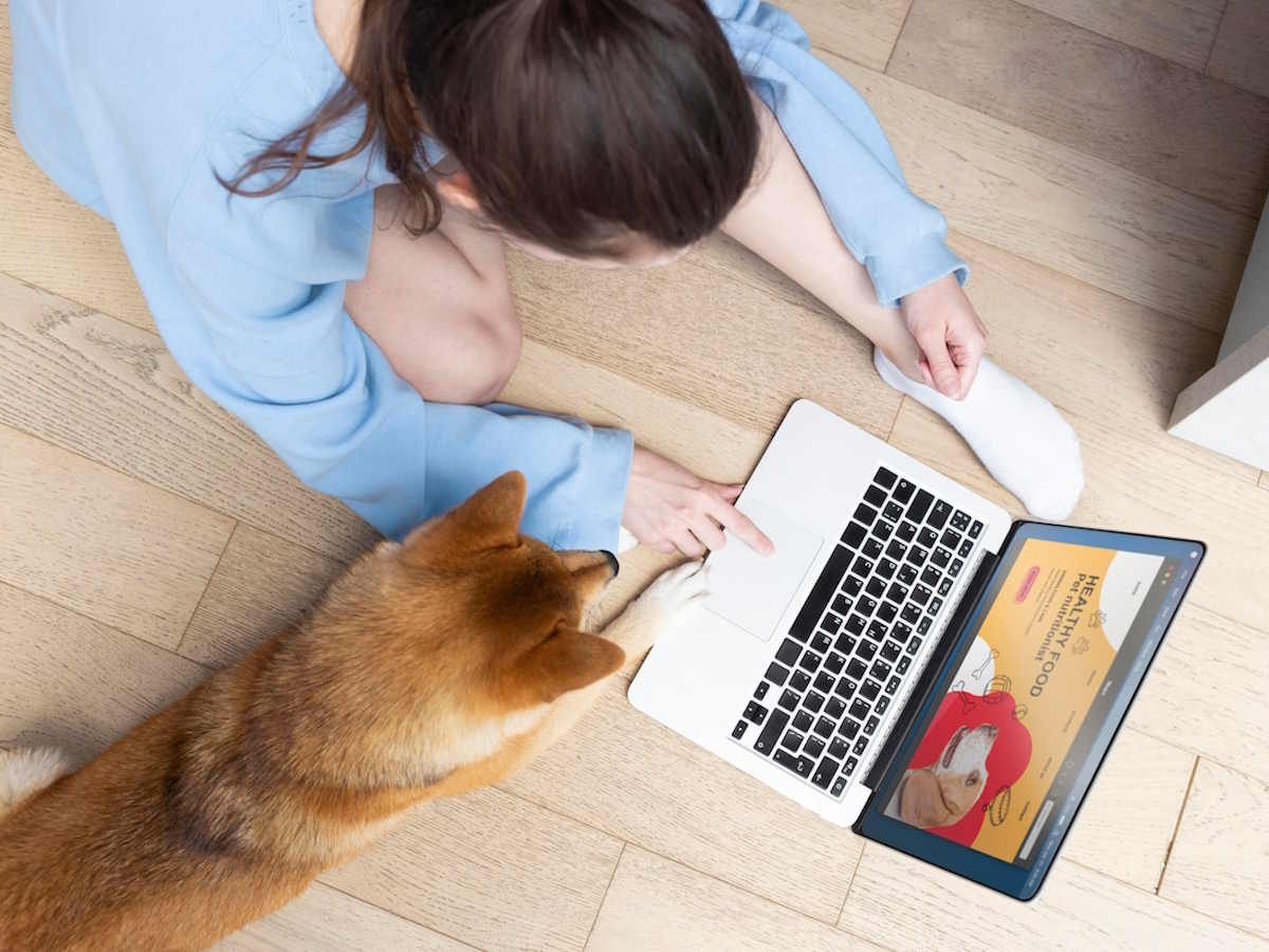 Logiciel de gestion pour cabinets vétérinaires : dossiers patients, rendez-vous et facturation