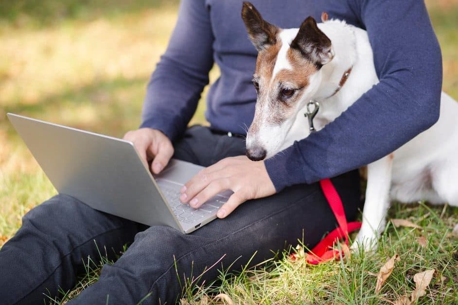 Application pour propriétaires d'animaux